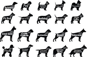 Vector dog silhouettes collection isolated on white